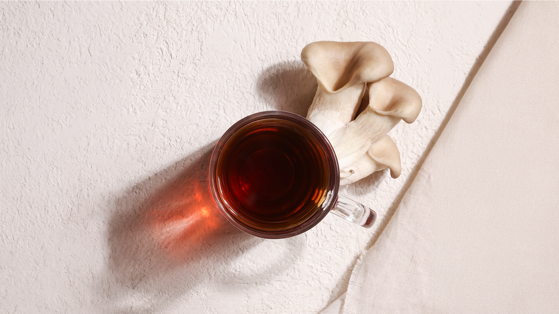 Mushroom Coffee Flavor Systems: Bitter Taste Masking and Scalable RTD Formulation for Manufacturers