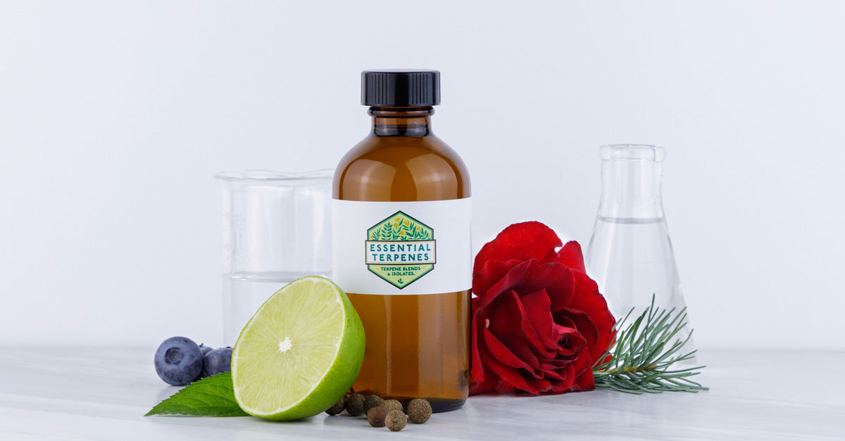 From Concept to Creation: How Extract Consultants Develop Industry-Leading Flavors