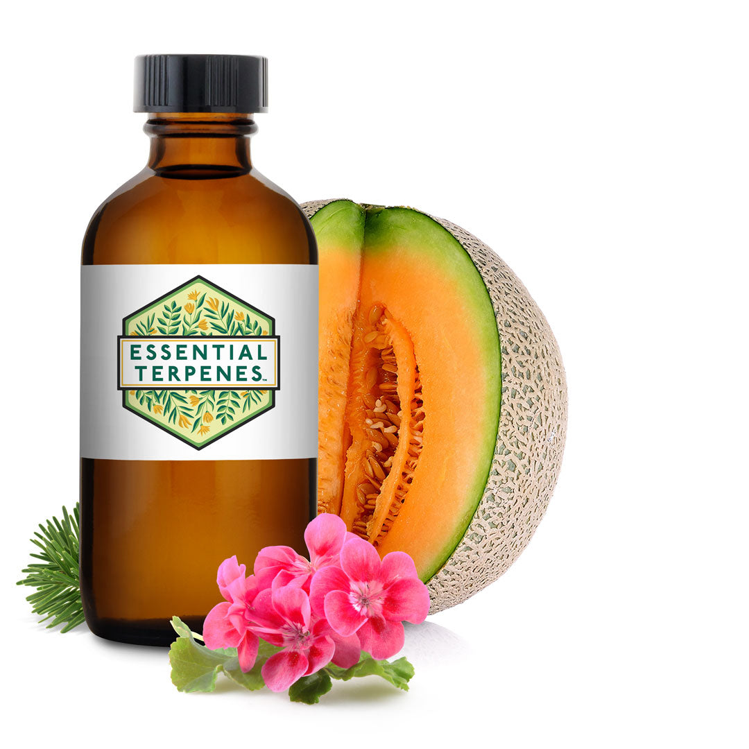 Cannalope Haze Terpenes (Solvent Free) // Extract Consultants