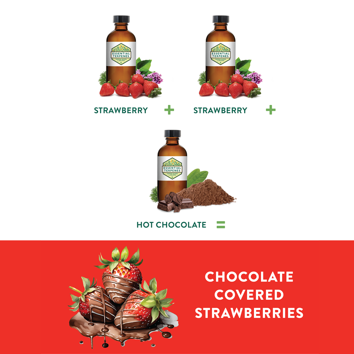 Hot Chocolate Solvent Free Terpene Flavor