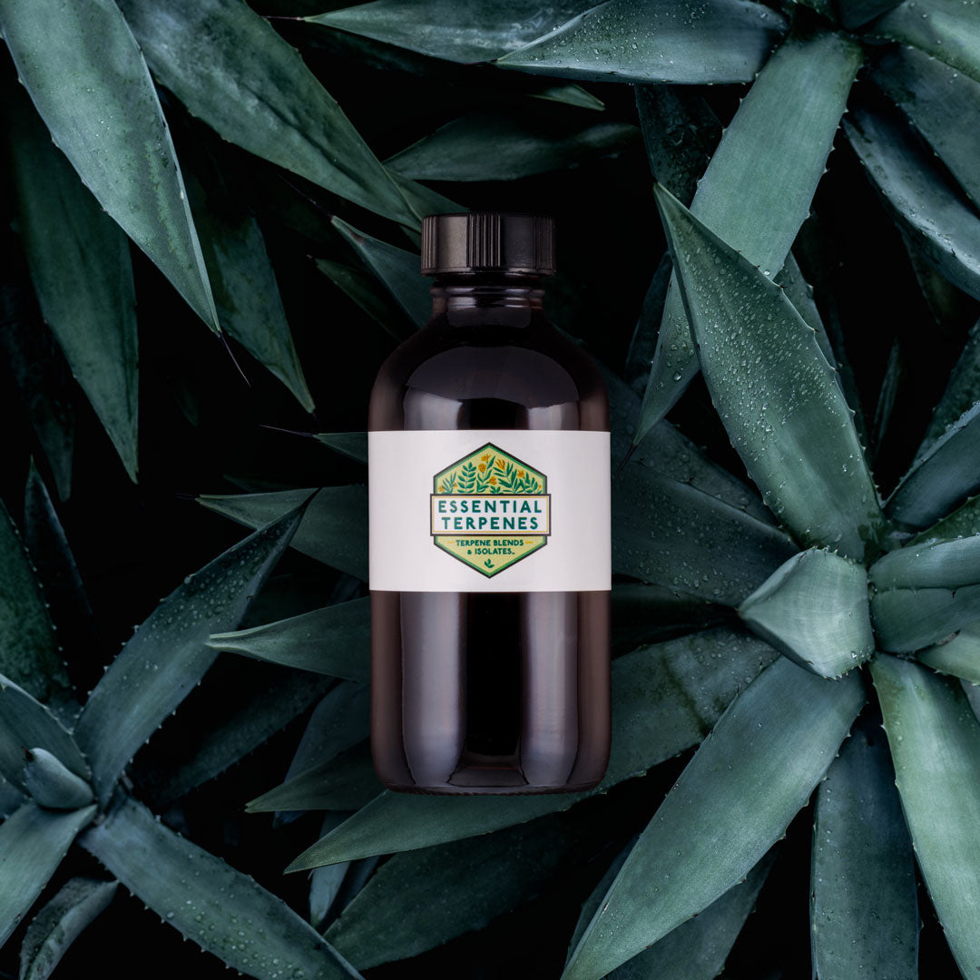 Agave Solvent Free Terpene Flavor