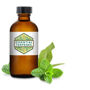 Sabor De Terpeno Sin Solvente De Aceite Mentolado