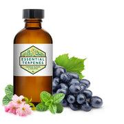 Sakura Grape Bomb Ice Solvent Free Terpene Flavor