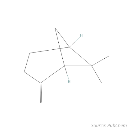 Beta Pinene