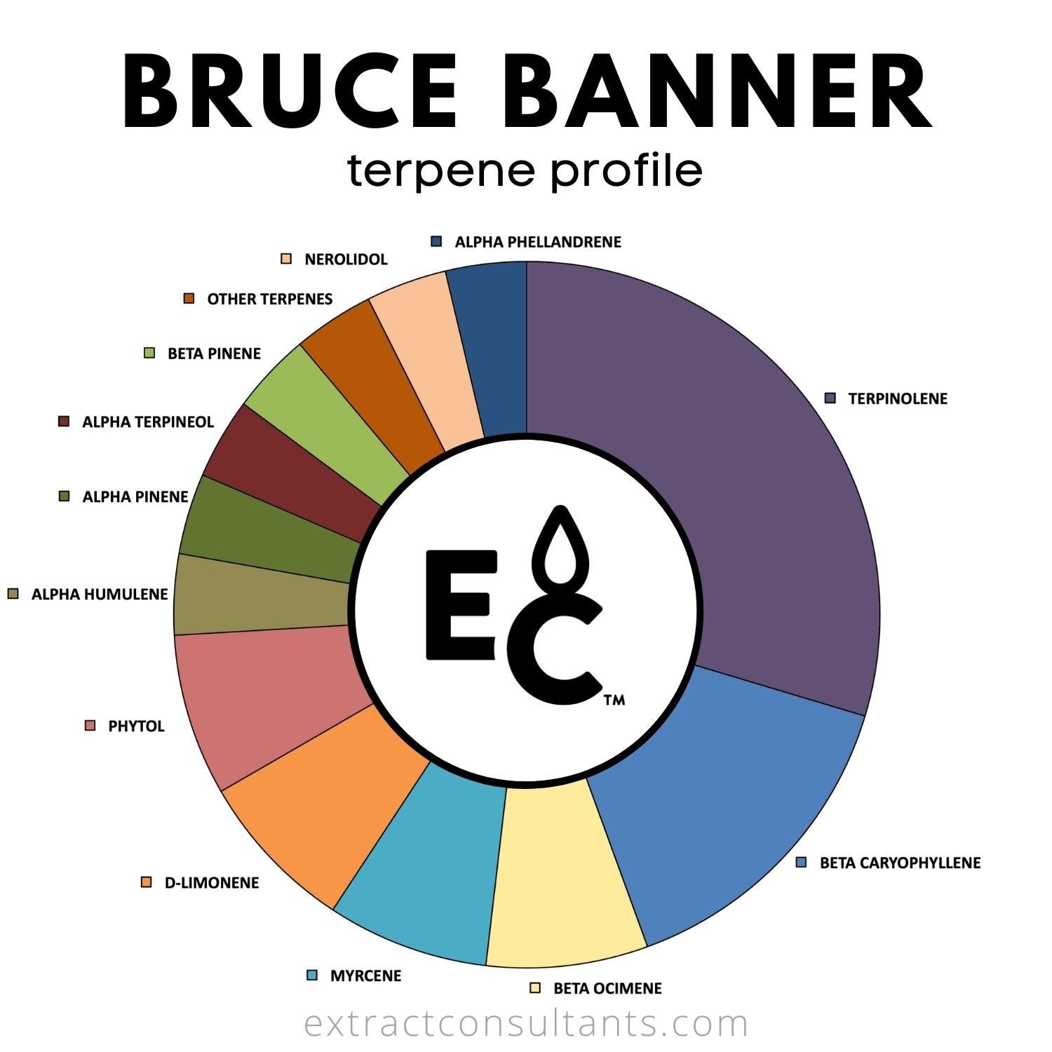 Bruce Banner Solvent Free Terpene Blend