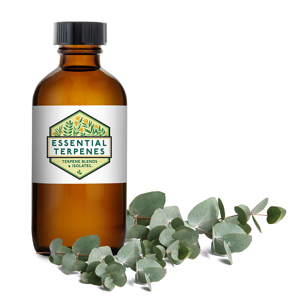 Buy Natural Alpha Phellandrene // Extract Consultants