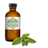 Camphene (Natural)