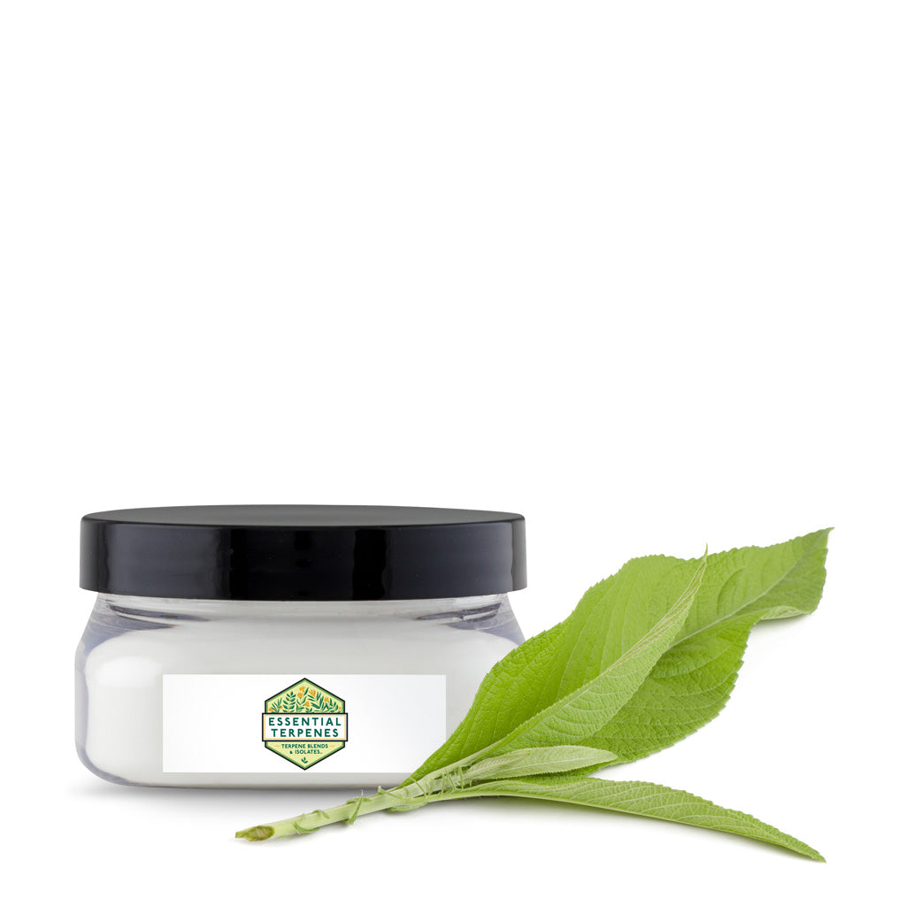 Camphor Gum, Natural