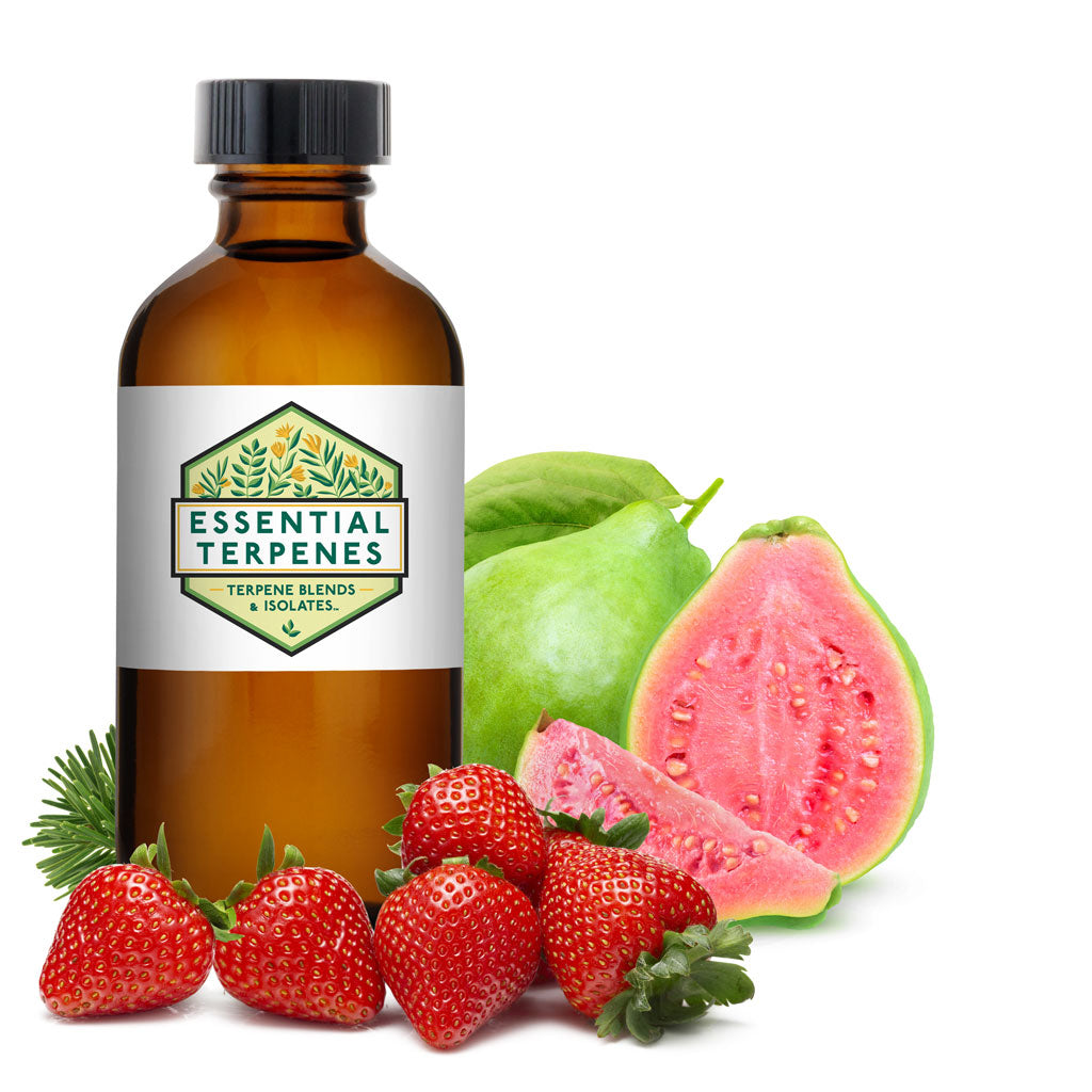 Strawberry Guava Terpenes (Solvent Free) // Extract Consultants