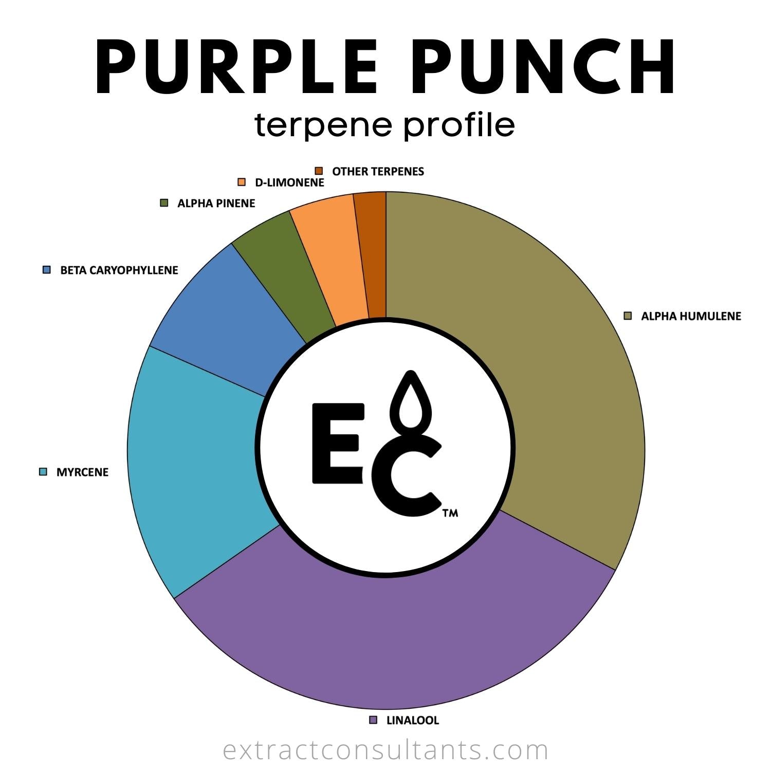 purple punch terpene profile chart
